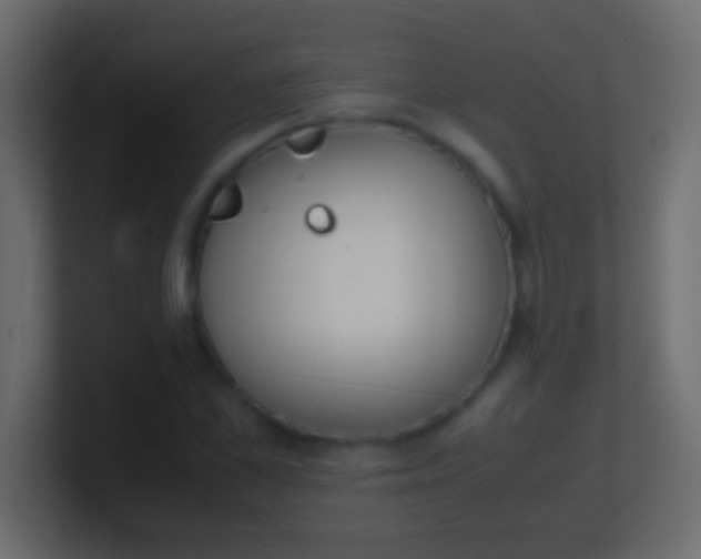 X0000100770973200807031207