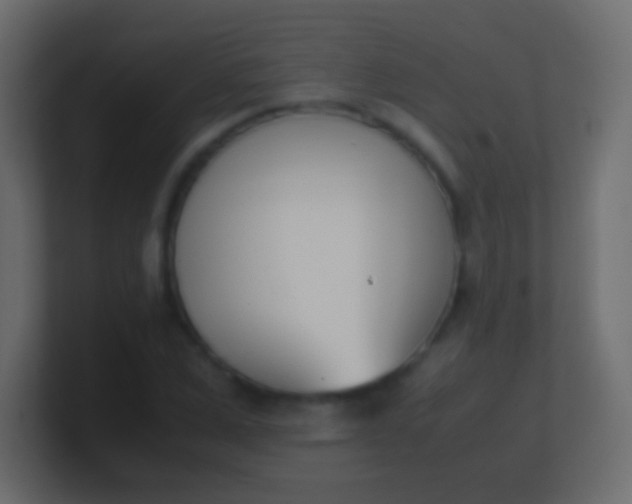 X0000100770975200807031207