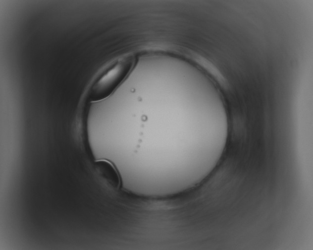 X0000100770976200807031207