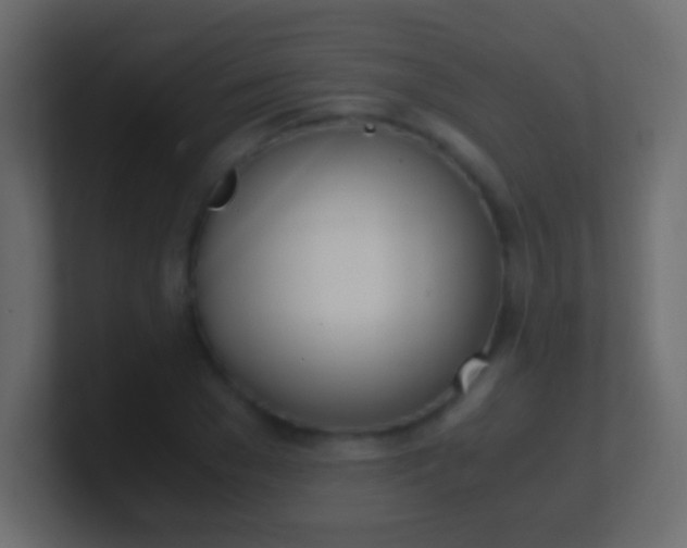 X0000100770977200807031207