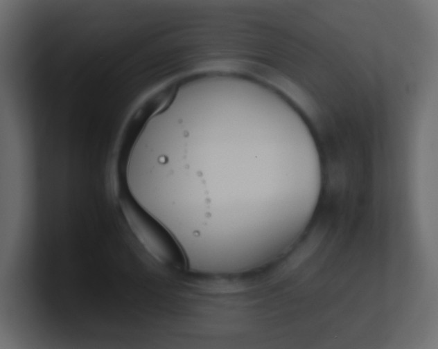 X0000100770980200807031207
