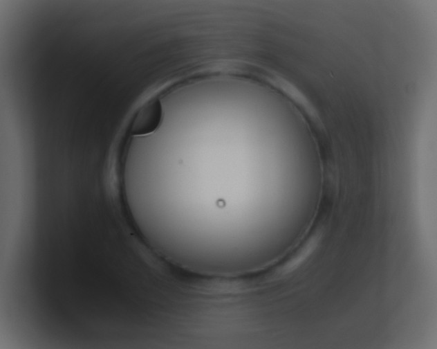 X0000100770981200807031207