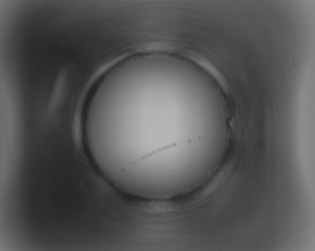 X0000100770983200807031207