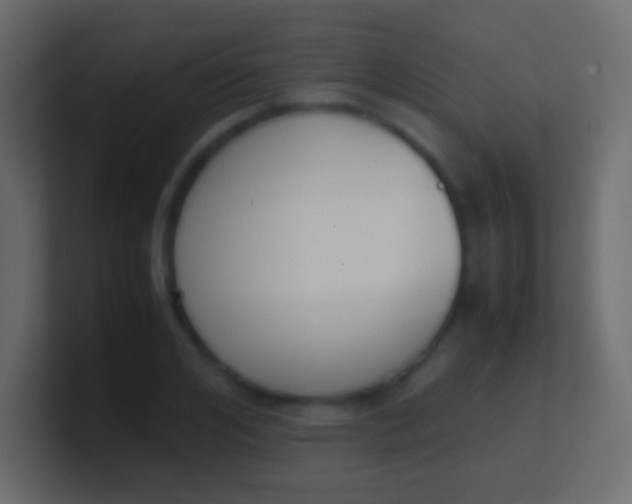 X0000100770984200807031207