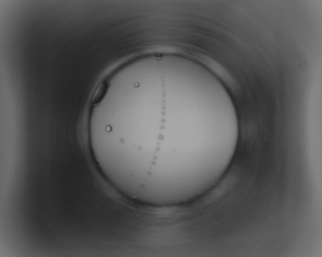 X0000100770988200807031206