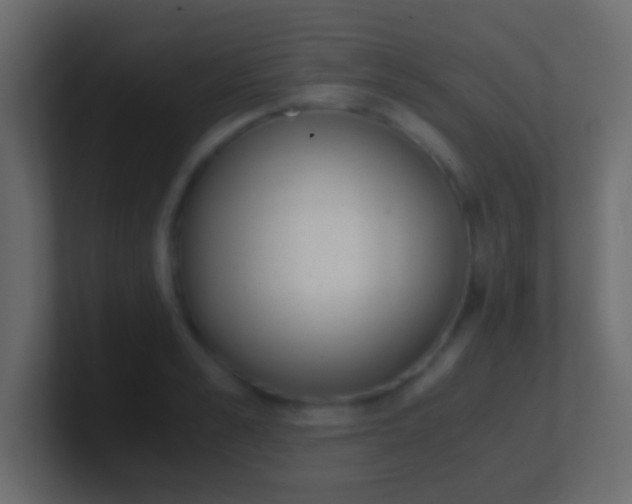 X0000100770989200807031206