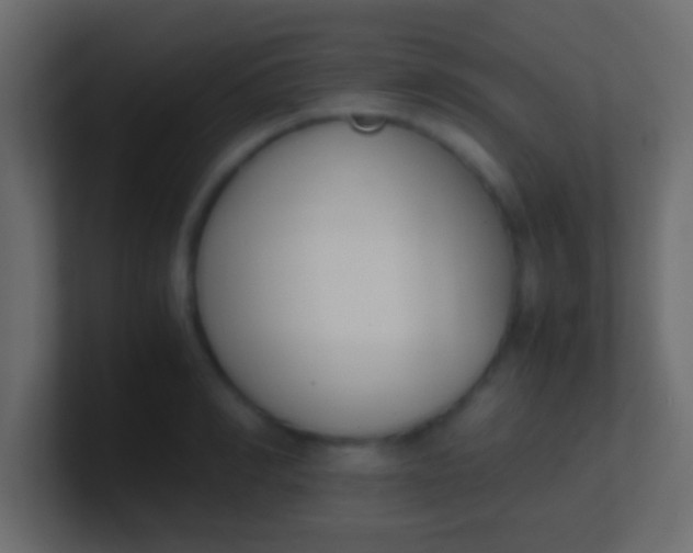 X0000100770990200807031206