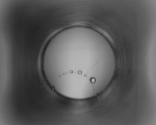 X0000100770991200807031206