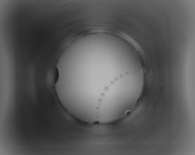 X0000100770993200807031206