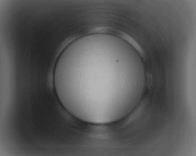 X0000100770994200807031206