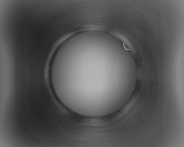 X0000100770995200807031206