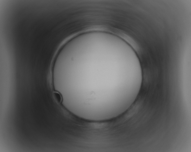 X0000100770996200807031206