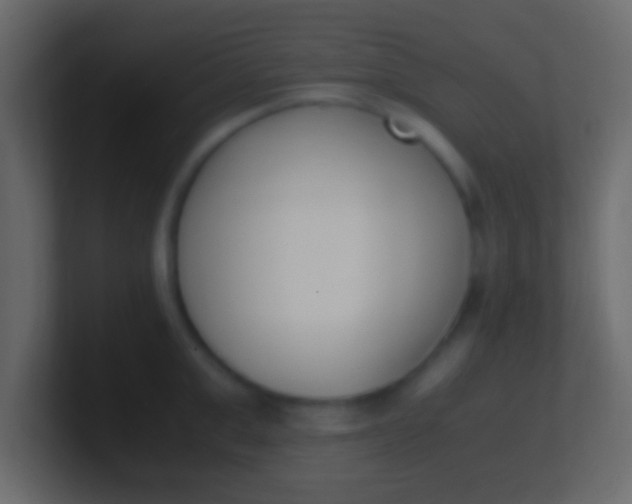 X0000100770999200807031206
