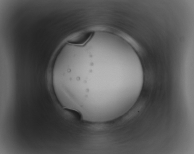 X0000100771000200807031206