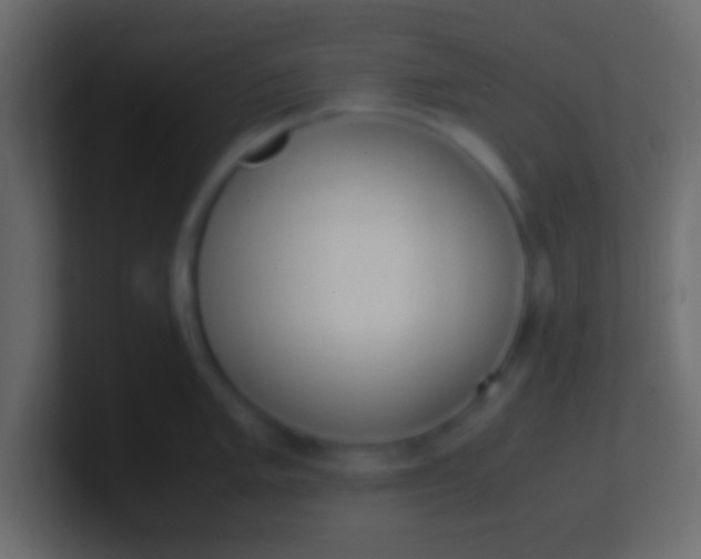 X0000100771005200807031206
