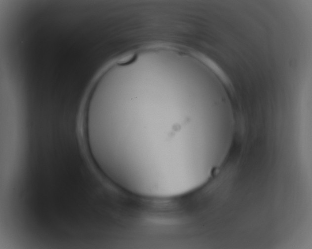 X0000100771007200807031206