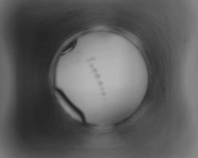 X0000100771008200807031206