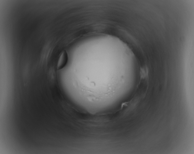 X0000100771011200807031206