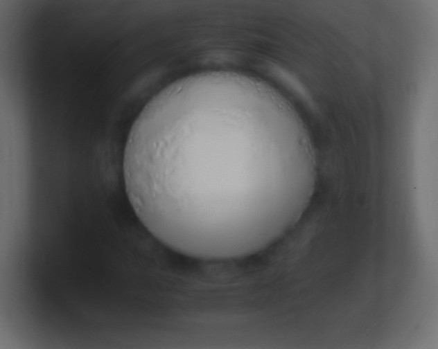 X0000100771015200807031206