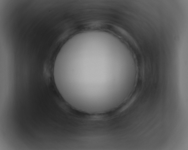 X0000100771017200807031206