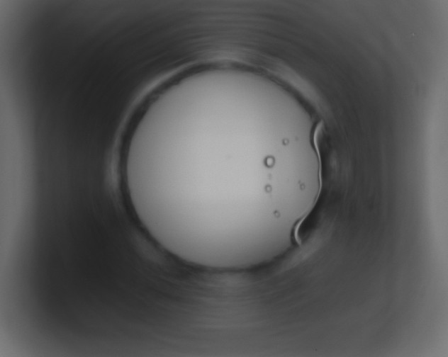 X0000100771020200807031206