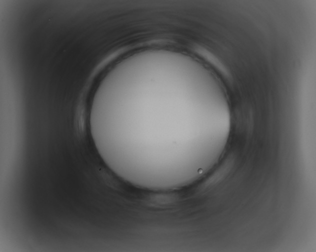 X0000100771021200807031206