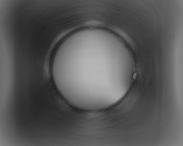 X0000100771022200807031206