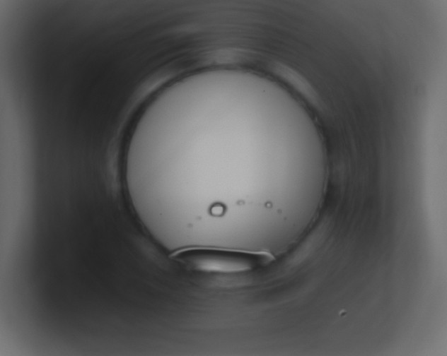 X0000100771026200807031206