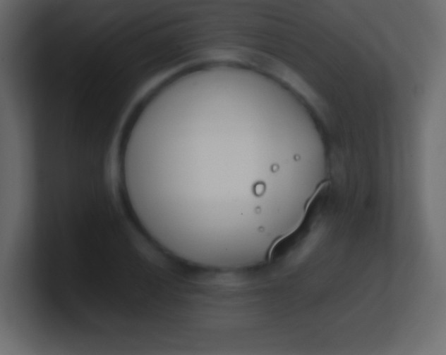 X0000100771028200807031206