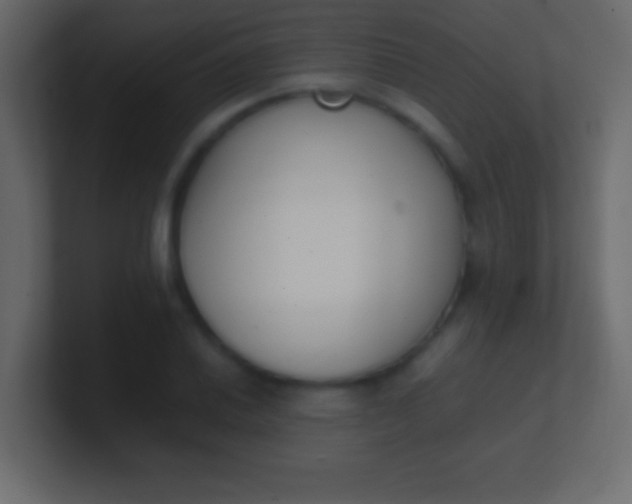 X0000100771030200807031206