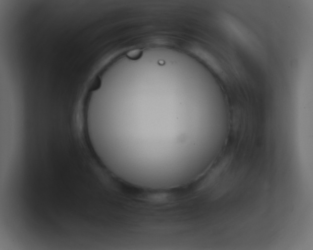 X0000100771031200807031206