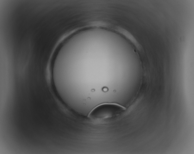 X0000100771032200807031206