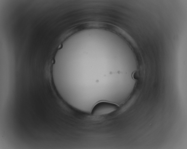 X0000100771033200807031206