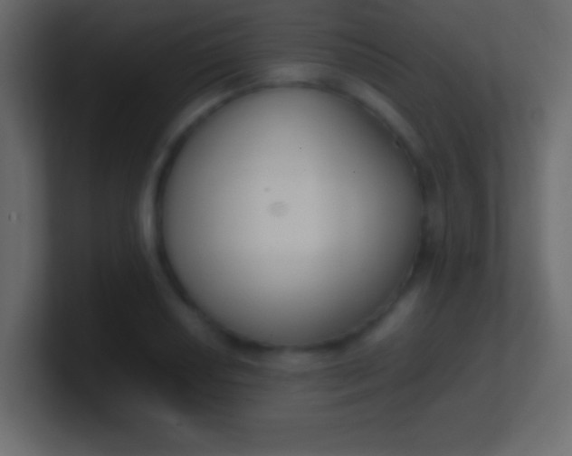 X0000100771034200807031206