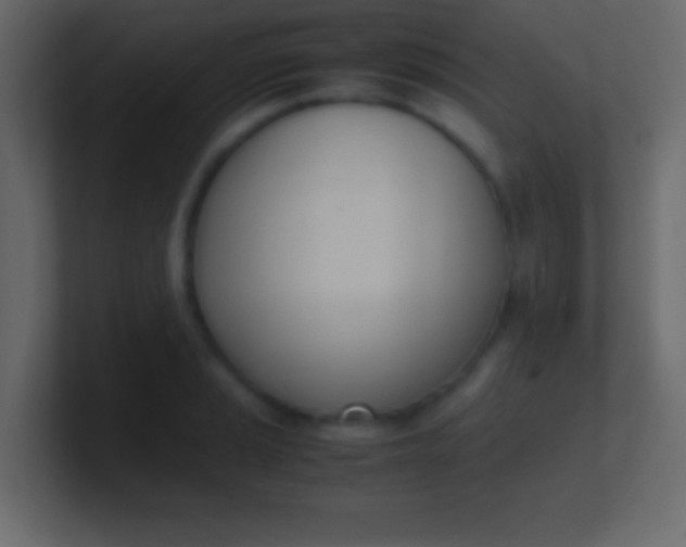 X0000100771037200807031206