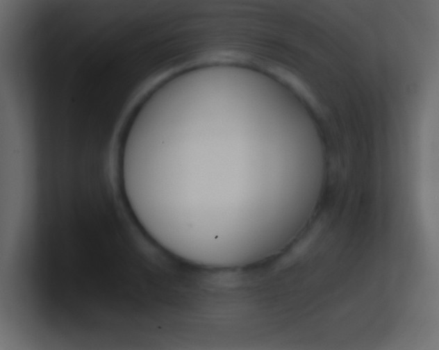 X0000100771038200807031206