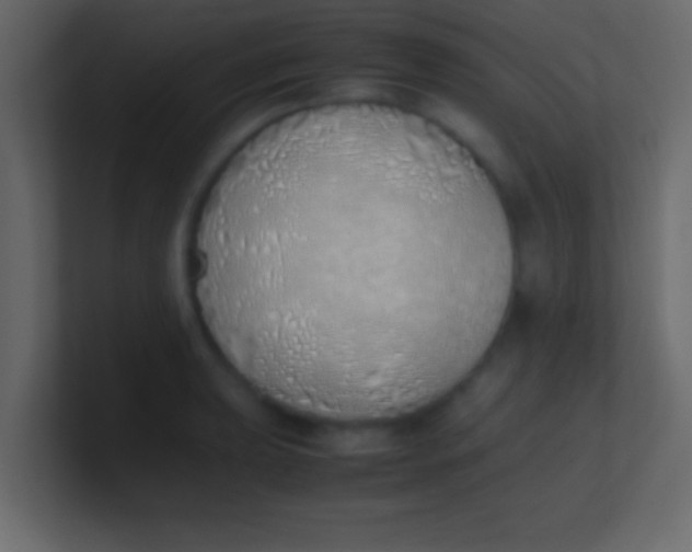 X0000100771039200807031206