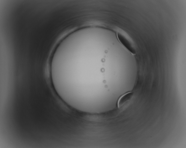 X0000100771040200807031206