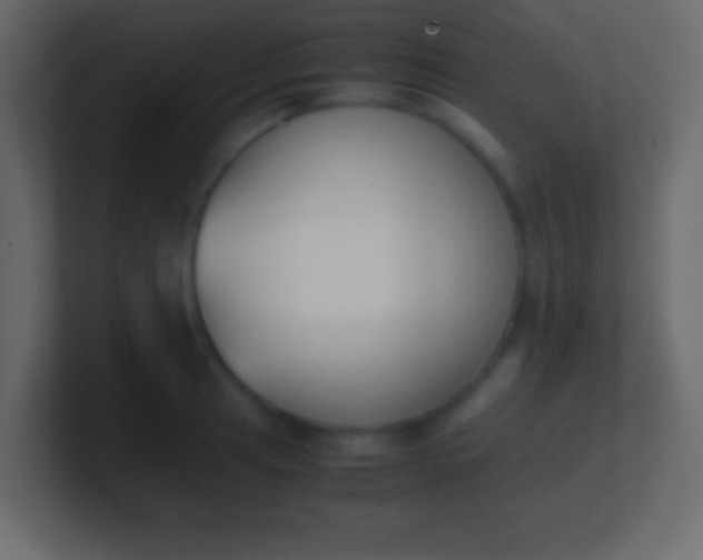 X0000100771041200807031206