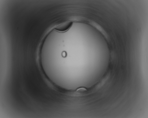 X0000100771042200807031206