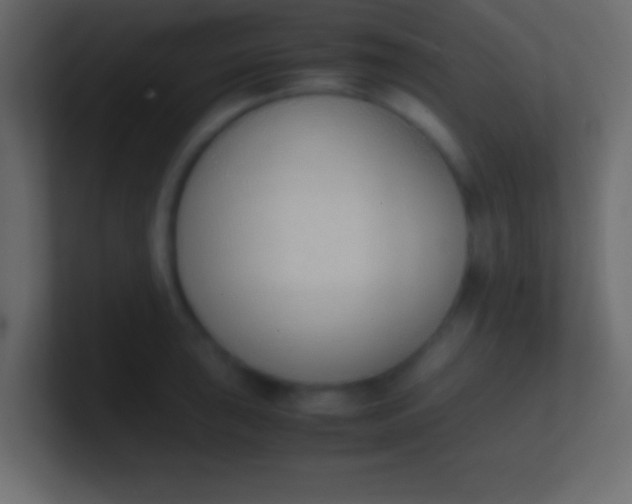 X0000100771043200807031206