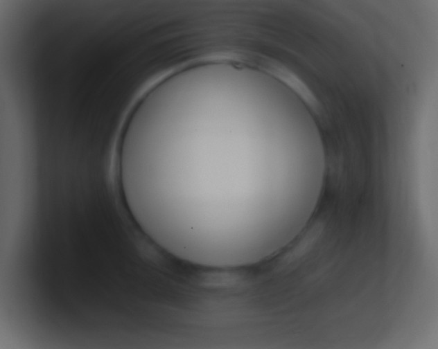 X0000100771044200807031206