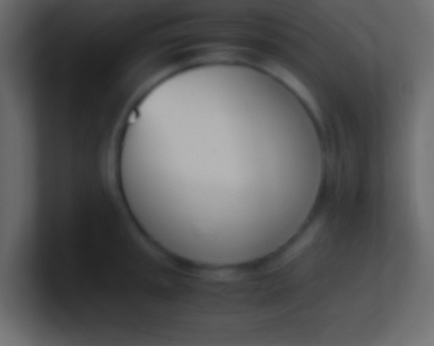 X0000100771045200807031206