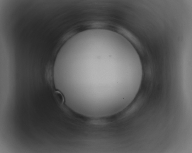 X0000100771049200807031206