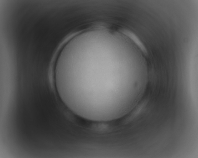 X0000100771051200807031206