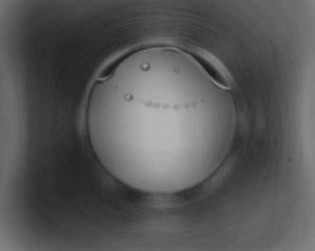 X0000100771052200807031206