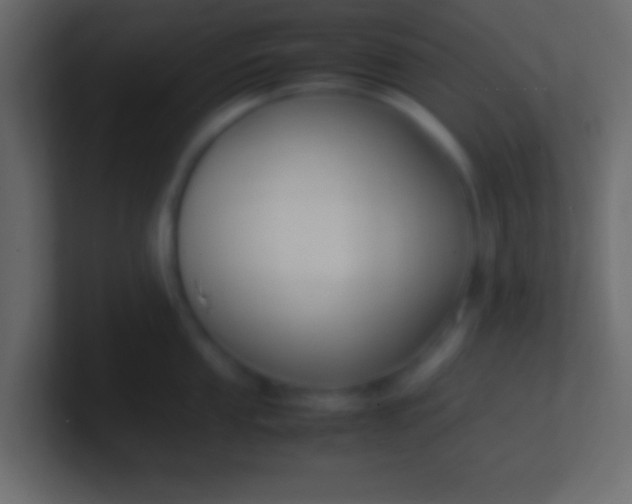X0000100771053200807031206