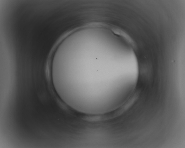 X0000100771054200807031206