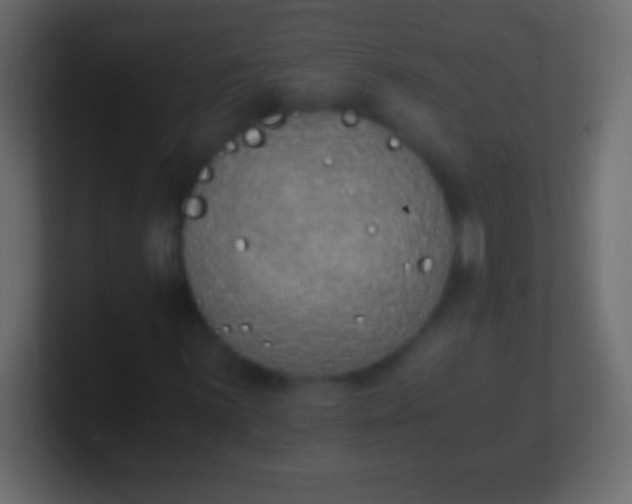 X0000100771059200807031206