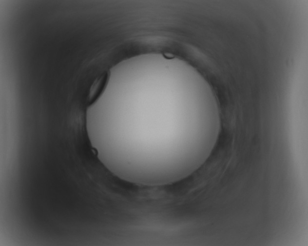 X0000100771061200807031206